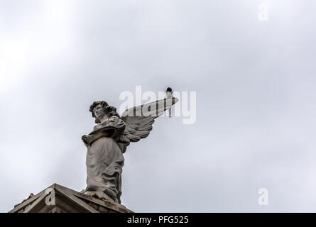 Angelo scultura e una gazza contro il cielo nuvoloso Poblenou cimitero. Foto Stock