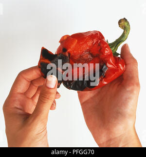 Rimozione annerito le parti di un peperone grigliato Foto Stock