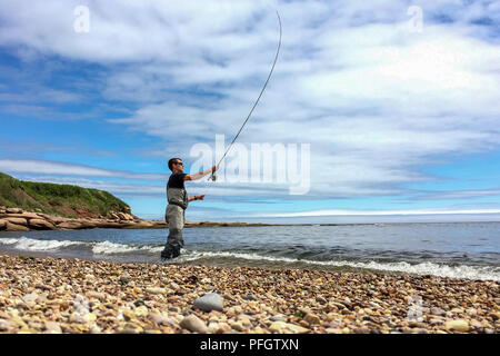 Saltwater fly fishing per Striped bass su Quebec's Gaspe Peninsula, Canada Foto Stock