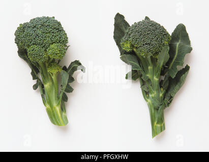 Un pezzo di broccoli freschi. Foto Stock
