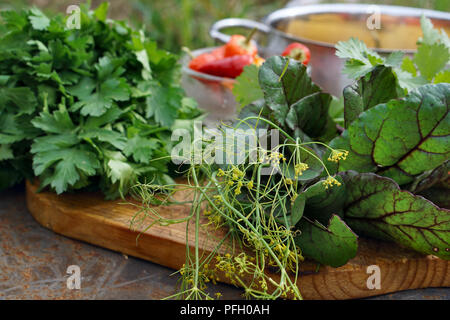 Prezzemolo fresco, aneto, mangold, coriandolo sulla tavola di legno e i pomodori e il Cile sul ferro backgrownd. Stile rustico. Foto Stock