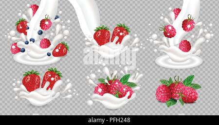 Latte o yogurt splash con bacche vettore set realistico isolato di raccolta Illustrazione Vettoriale