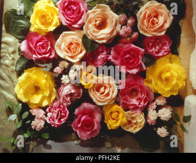 Al di sopra di vista di rosso, arancione, rosa e giallo rose di diverse varietà e pranzo insieme. Foto Stock