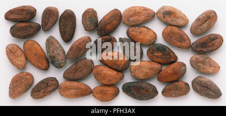 Le fave di cacao, close up Foto Stock