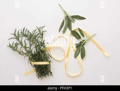 Rametti di Rosmarinus officinalis, Rosmarino e Salvia officinalis, Salvia Foto Stock