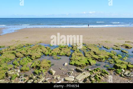 Pomeriggio Passeggiata a Filey spiaggia in luglio. Foto Stock