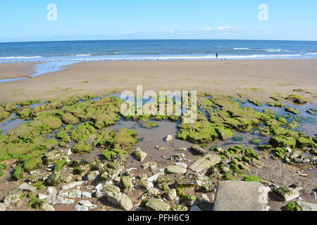 Pomeriggio Passeggiata a Filey spiaggia in luglio. Foto Stock