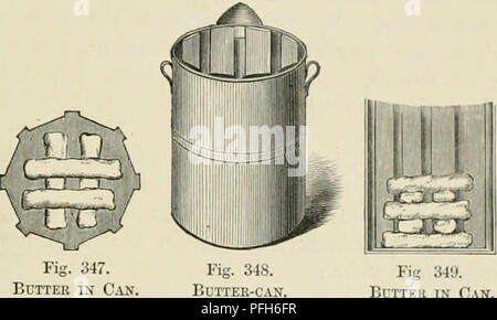 Questa guida all'industria lattiero-casearia descrive la teoria e la pratica alla base della produzione lattiero-casearia, concentrandosi sui metodi per la produzione di burro e formaggio. Spiega processi come la manipolazione, lo stoccaggio e il confezionamento del latte e include dettagli sulle pratiche di esportazione dell’industria lattiero-casearia. Foto Stock