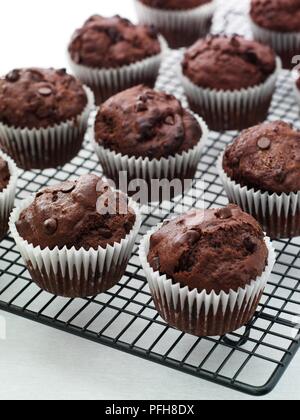 Cioccolato e latticello muffin sul raffreddamento per rack, close-up Foto Stock