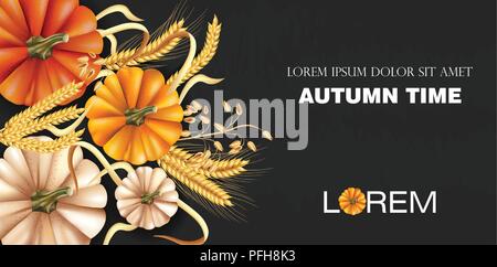 In autunno la raccolta di verdure Illustrazione Vettoriale