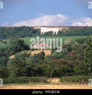 Gran Bretagna, Inghilterra, Yorkshire, Sutton Bank, Kilburn White Horse, la figura di un cavallo bianco intagliato nella roccia calcarea, creato nel XIX secolo Foto Stock