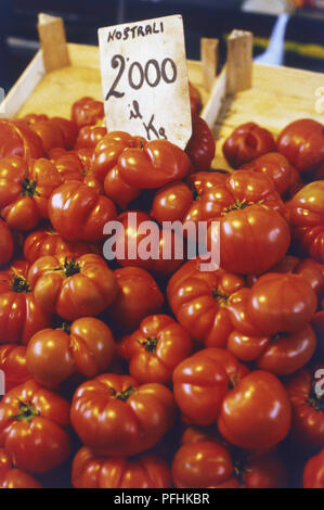L'Italia, Firenze, Mercato Centrale, impilati i pomodori in vendita in stallo del mercato Foto Stock