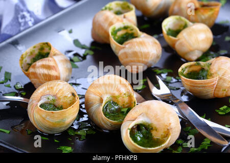 Delizioso piatto gourmet - Escargots de Bourgogne o lumache con burro alle erbe aglio spruzzata con del prezzemolo tritato finemente sulla piastra nera con lumaca per Foto Stock