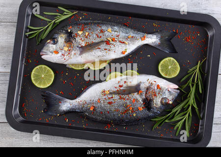 Crudo fresco dorado o Orate di mare Pesce con limone, erbe, olio, ortaggi e cosparso di spezie sulla teglia, sul piano di lavoro in legno, vista dall'alto Foto Stock