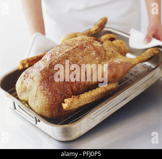 L'oca arrosto in una teglia Foto Stock