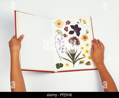 Mani girando le pagine in un libro di fiori pressati Foto Stock