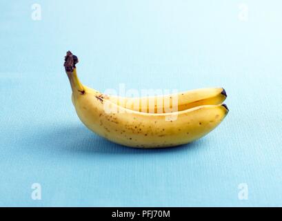 Due mature banane gialle Foto Stock