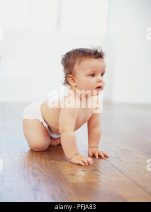 Baby girl nel pannolino a carponi su un pavimento di legno, rivolto lontano Foto Stock