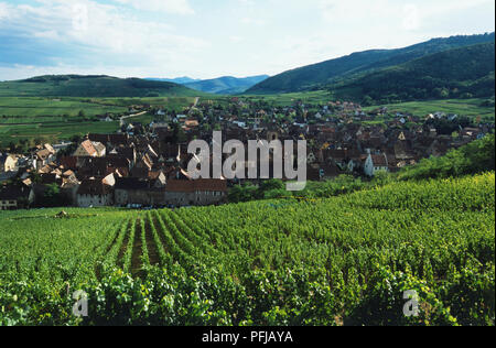 Francia, al nord-est della Francia, Champagne, borgo circondato da vigneti Foto Stock