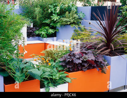Varie piante, compresi, Fatsia Hosta e Heuchera, in contenitori disposti attorno ad un area con posti a sedere in un giardino Foto Stock