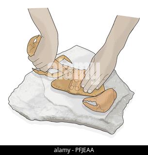 Illustrazione Digitale dell'uomo usando le mani per tirare artigli dal corpo di appena pescato granchi Foto Stock
