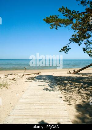 La lettonia, Kolka Penisola Cape Kolka beach Foto Stock