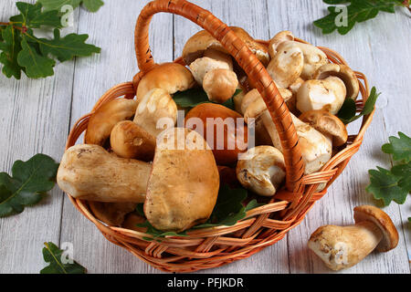 Organico fresco funghi porcini nel cesto di vimini sul vecchio bianco tavolo in legno verde con foglie di quercia su sfondo, vista laterale dal di sopra, close-up Foto Stock