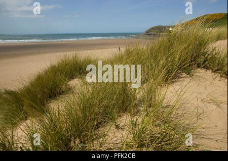 Gran Bretagna, Inghilterra, Devon, Croyde Bay, vista da dune a mare Foto Stock