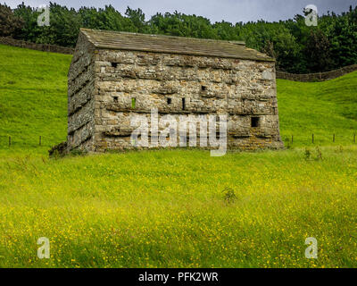 Swaledale nel Yorkshire Dales National Park le sue parti superiori sono particolarmente evidenti a causa della sua grande vecchio campo di calcare fienili , i muri in pietra Foto Stock