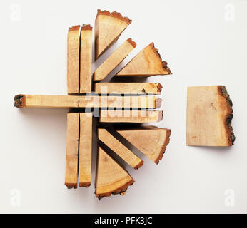 La disposizione dei pezzi di conformazione diversa del legname proveniente da un tronco di albero Foto Stock