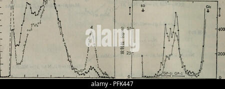 . La dai xie codolo dan bai yu dan bai ju tang jie gou gong neng egli dai xie. botanica. 20 40 60 80 100 40 80 ç®¡ae° ç®¡ae° å¾56 [3H]è¡èç³èºae è®°çSV-40-3T3 å["C]è¡èç³èºae è®°Ç3T3ç"è èçç³è½å¨Sephadex G-50ae±çå± aeå¾è°±ã (aeèªMeezan, E. et al.ï¼ 1969, Biochemistry 8ï¼ 2518) å¾57å²©è"ç³ae è®°çç"èè¡¨é¢çç³å¨ Sephadex G-50ae±ä'å±aeã 0è¡¨ç¤º"C-ae è®°çBHKç"è *è¡¨ç¤ºae è®°çPy-BHKç"è (aeèªOgata, S. et al., 1976, Nature, 259. 580) Ogataç-å©ç¨CON UN-Sepharoseae±çç"åä'ä'ae§ï¼ç ç©¶ae-£å''ç"èååå¼ç"èå¤§ç³ è½åå°ç³è½çå·®å¼ï¼å¾å°äºä'åçç"è®ºãä"¥GPIè¡¨ç¤ºå°ç³è½ï¼GPIIè¡¨ç¤ºå¤§ç³çï¼å¾ 57)oä"ae-£å''ååå¼ç"èå¾å°çGPIåGPIIå è³Con A-sep Foto Stock