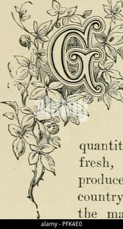 . Allevamento di animali da latte : essendo la teoria, pratica e i metodi di produzione di latte. Aziende lattiere; stabilimenti lattiero-caseari; latte piante. Capitolo XXYir. American Dairy ProdL'CTS. Lordo Trade-Butter ProductionâDomestic JIarkets-Cheese MarketsâBoards ^^(^ ExportsâPrices. di TradeâMilk Sales-New York JIarketâ. ^^^SC  RKAT come ]iro;luce di tlie d;iii-y in America è stata per un numl)er di anni, il jiroduction totale è stata molto esagerata. Senza i dati su cui basare i calcoli per la quantità di latte venduto per uso mentre liesh, e consumati dalle famiglie di produttori e che il numero di vacche in per ogni uno dei th Foto Stock