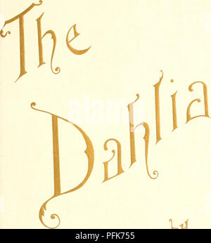 . La dalia : un pratico trattato sulla sua abitudini, le caratteristiche di coltivazione e di storia. Dalie; Compositae. V5 riw S&LT;^ ;t^. Si prega di notare che queste immagini vengono estratte dalla pagina sottoposta a scansione di immagini che possono essere state migliorate digitalmente per la leggibilità - Colorazione e aspetto di queste illustrazioni potrebbero non perfettamente assomigliano al lavoro originale. Peacock, Lawrence Kramer, 1870 - 1936. Acto, N. J. : W. P. Peacock Foto Stock