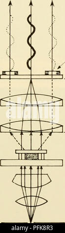 . La citologia. La citologia. Ricombinati ray (interferenza distruttiva) di diffrazione obiettivo piastra condensatore diaframma anulare. Fase materiale ritardante 1 1 ' i I * &gt;â¢â ( â ' f 4 t â &lt; &lt; ) ) ) t fase microscopio figura 11-13. Schema di principio della fase microscopia. deviato e luce undeviated risulteranno dalla piastra di diffrazione in fase e ricombinare per dare maggiore luminosità (costruttiva inter- ference) dell'oggetto (Figura 11-14 (b)). In fase di microscopia di contrasto può essere utilizzata per misurare l'indice di rifrazione e la concentrazione di solido di strutture cellulari sfruttando il met Foto Stock