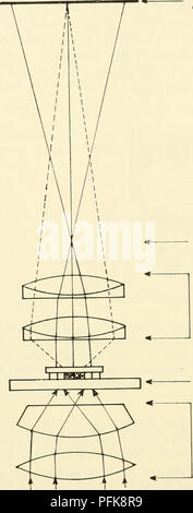 . La citologia. La citologia. Il piano focale di oculare piano focale posteriore di obiettivo obiettivo del microscopio condensatore dello stadio figura 11-12. Schema che illustra il percorso ottico di deviati e Undeviated luce attraverso la luce comune microscopio. trasmesso dall'oggetto tenderà ad annullare ogni altro fuori (interferenza distruttiva) e rendere l'oggetto più scura rispetto a quella dei suoi dintorni (Figura 11-13). Questo è scuro o positivo a contrasto di fase (figura 11-14 (a)). Luminose o negativo a contrasto di fase, in cui l'oggetto appare più luminosa di quella dei suoi dintorni, si ottiene ritardando la luce undeviated da Va wav Foto Stock