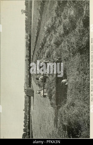 . Dell'enciclopedia delle colture di fattoria : un sondaggio popolare di colture e raccolto-metodi di fabbricazione negli Stati Uniti e in Canada. Agricoltura -- Canada; Agricoltura -- Stati Uniti; prodotti agricoli -- Canada; prodotti agricoli -- Stati Uniti. . Si prega di notare che queste immagini vengono estratte dalla pagina sottoposta a scansione di immagini che possono essere state migliorate digitalmente per la leggibilità - Colorazione e aspetto di queste illustrazioni potrebbero non perfettamente assomigliano al lavoro originale. Bailey, L. H. (Liberty Hyde), 1858-1954. New York : Macmillan Foto Stock