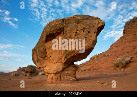 AZ00342-00...ARIZONA - Equilibrata Rock si trova lungo la strada a Lee's Ferry in Glen Canyon National Recreation Area. Foto Stock