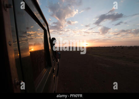 Masai Mara, Kenya, gioco Safari Foto Stock