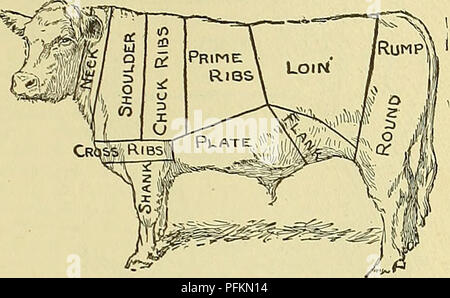 . Dell'enciclopedia degli animali della fattoria. Animali domestici; di prodotti di origine animale. rated dal round-steak sulla linea R A I. Il lombo contiene il controfiletto e osteria bistecche. Il giro è di solito tagliati a filetti di manzo o round-bistecca e la groppa utilizzati sia per il pot o forno arrosti. Il quarto anteriore è prevista sul blocco con la. Fig. 286. I tagli di carni bovine. hind trimestre. Nel taglio di hind trimestre, dovrebbe essere prevista sul blocco con l'interno rivolto verso l'alto, e il rene e suet rimosso e il fianco tagliare, N A P. Il trimestre devono quindi essere ribaltato e il lombo rimosso, il taglio da 0 a N T Foto Stock