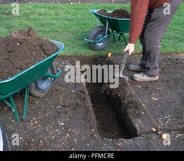 Uomo con giardino forcella per mettere terreno in trincea Foto Stock