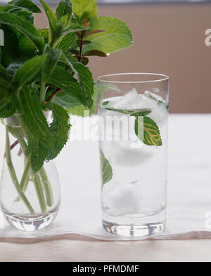 Bicchiere di acqua ghiacciata con fresche foglie di menta piperita, rametti di menta fresca in caraffa di vetro, in piedi su Mussola. Foto Stock