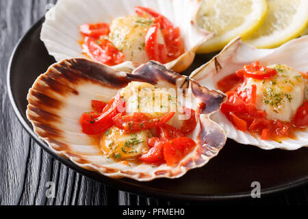 Cappesante servita con un guscio con la salsa di pomodoro e il prezzemolo close-up su una piastra su un piano orizzontale. Foto Stock