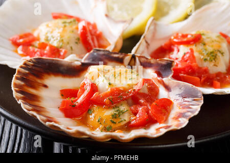 Capesante fresche in un guscio con pomodoro e verdure macro su una piastra su un piano orizzontale. Foto Stock