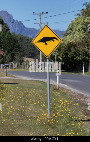 Attenzione al cartello stradale platypus in Tasmania Foto Stock