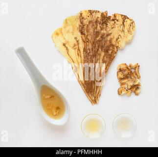 Angelica sinensis (Dang gui), affettato radici essiccate, per infusione e tintura in piccoli piatti e cucchiaio Foto Stock