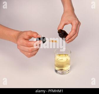 Usando una pipetta a goccia Gentiana lutea (Genziana) in un bicchiere di acqua Foto Stock