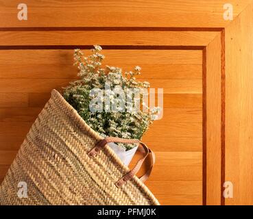 Vimini shopping bag contenente margherite, sul pavimento in parquet, close-up Foto Stock