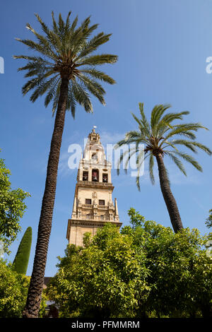 Campanile Torre del Alminar, Mezquita, Cattedrale di Cordoba, Cordoba, Andalusia, Spagna Foto Stock