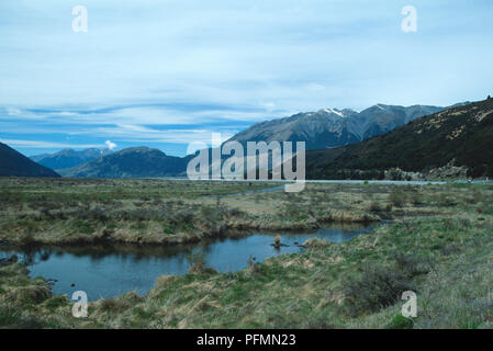 View of a tussock-covered valley giving way to tall, craggy, hills, Bealey Spur Village, Arthur's Pass National Park, South Island, New Zealand Foto Stock