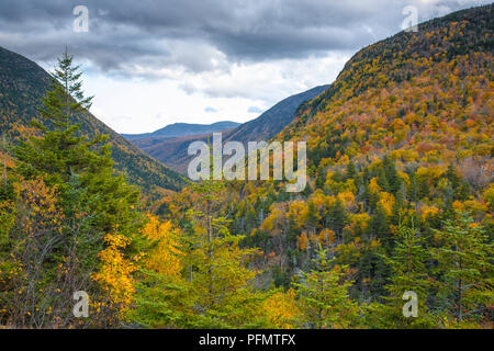 Crawford tacca parco dello stato dalla parte superiore della testa di elefanti in Carroll, New Hampshire. Gli elefanti di testa è un profilo di roccia che ha vedute eccellenti della s Foto Stock